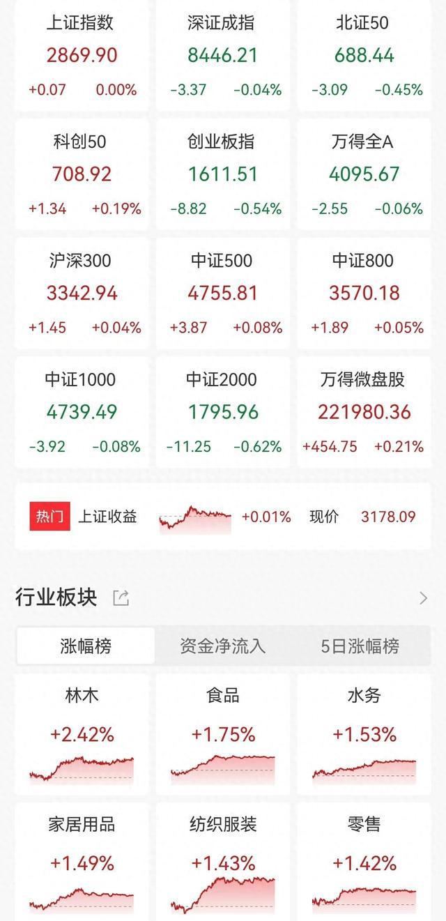 A股收評(píng) 三大指數(shù)持續(xù)調(diào)整，種業(yè)與維生素逆勢(shì)爆發(fā)，2700余股下跌成交縮量